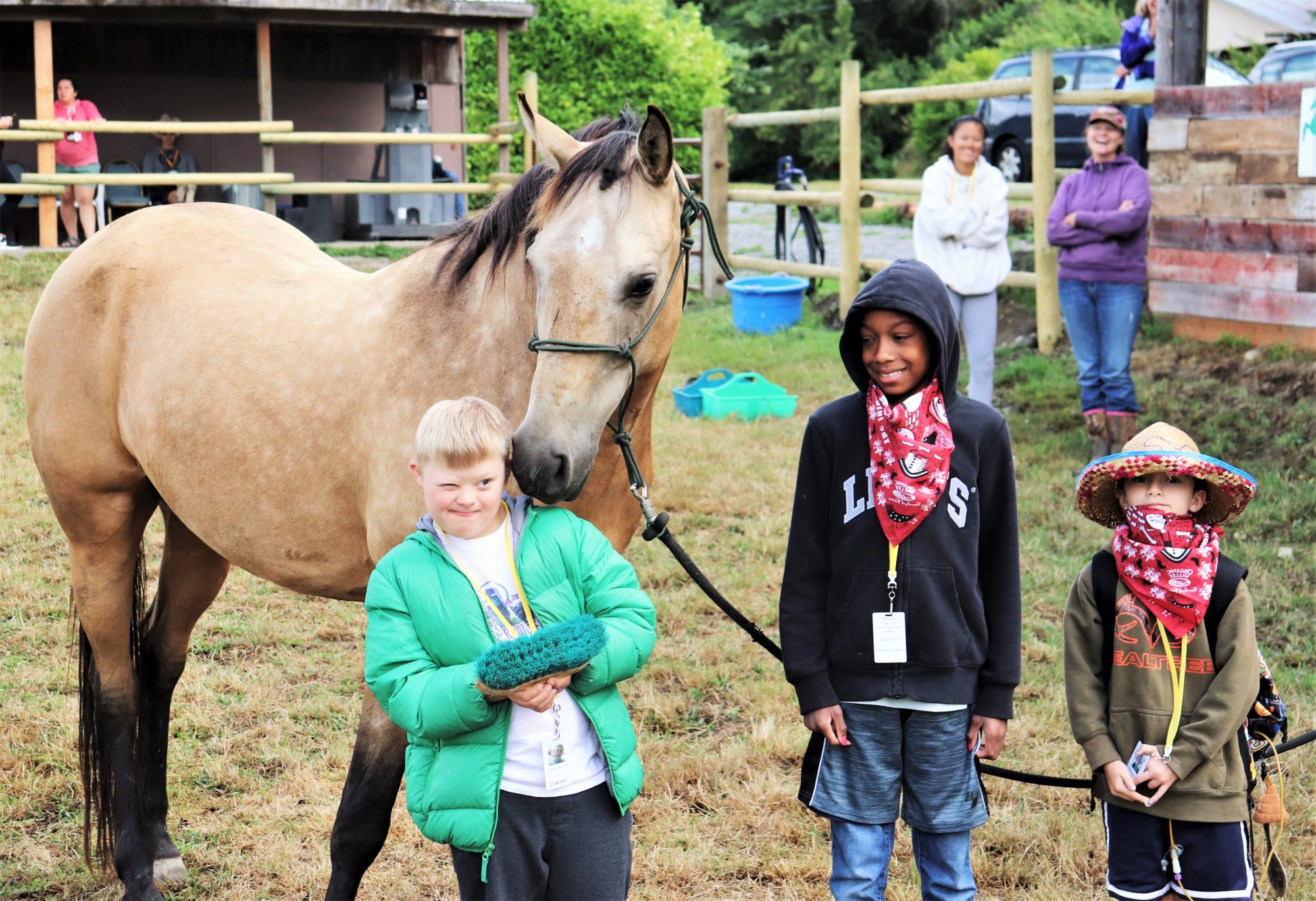 2019_Session 4_horsing around